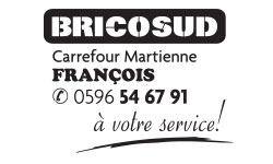 logo-bricosud