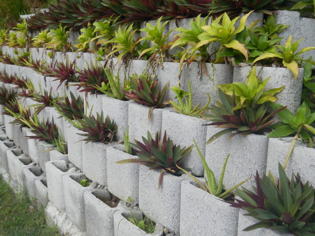 Réalisation - Mur de soutènement Talufleur standard sapeb | Béton Futé : Sapeb Martinique, Préfakit, SDPI